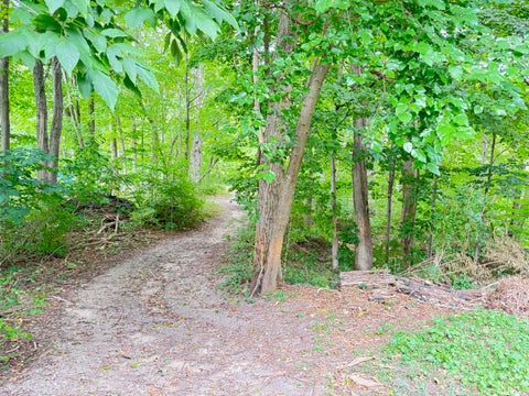 Photo of 200 S Water Street, Hart, MI 49420 (MLS # 26046427)