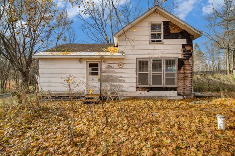 Photo of 4044 Volney Street, Fountain, MI 49410 (MLS # 25058130)