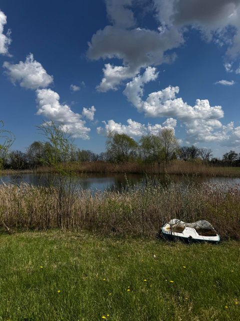 Photo of 9871 Crane Road, Milan, MI 48160 (MLS # 26017639)