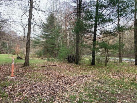 192nd Avenue Big Rapids MI 49307