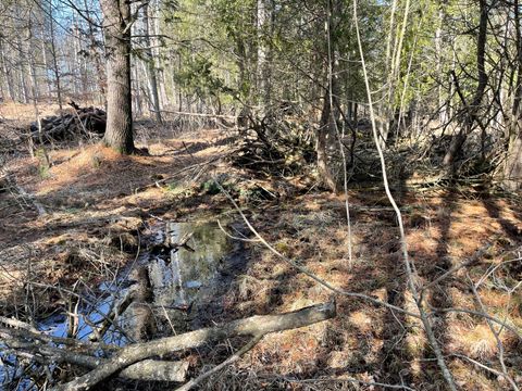 Photo of V/L N Lakola, Leroy, MI 49655 (MLS # 25043390)