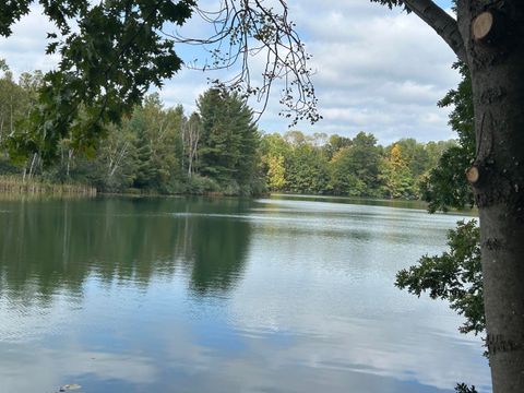 8601 N. Island Drive Canadian Lakes MI 49346