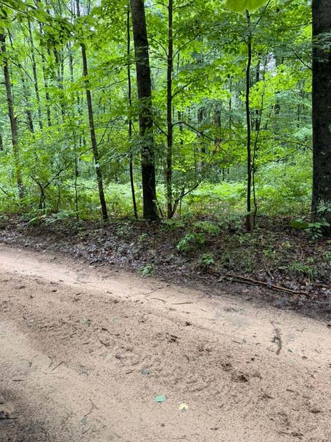 Photo of 7094 Darlington Lake Road, Hesperia, MI 49421 (MLS # 26035117)