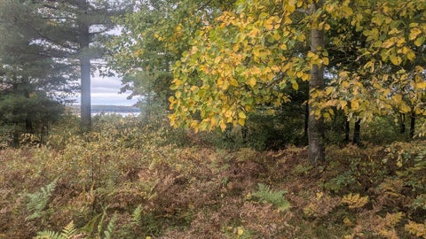 Photo of Emerald Ridge Ridge #23, Onekama, MI 49675 (MLS # 26055650)