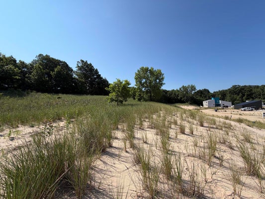 7395 LAKE SOLIS DR, STEVENSVILLE, MI 49127 - Image a0dd0a79bbda92cef3fd71ffd2d0c2e8/541478605