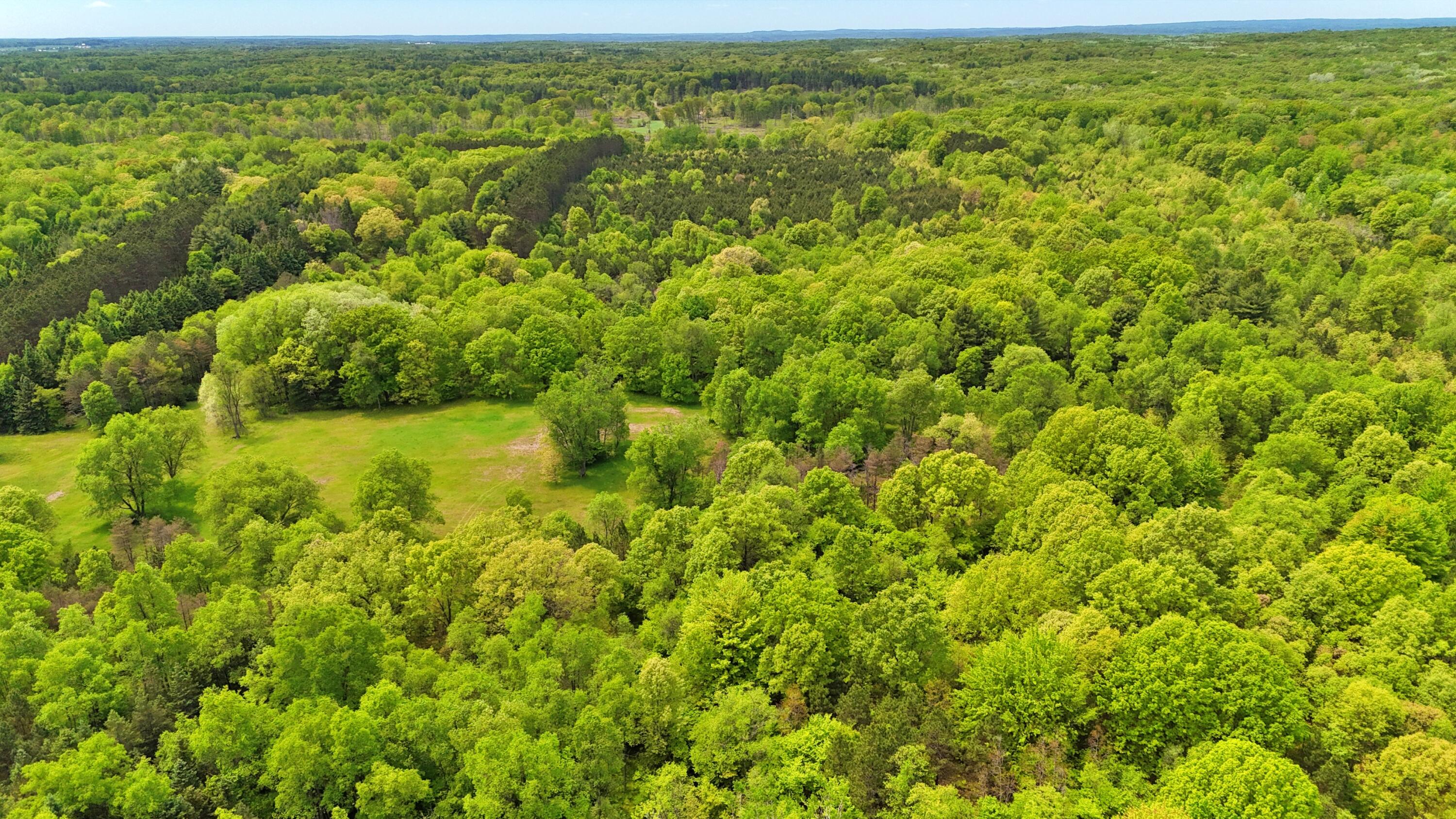 80+/- Acres V/L 140th Ave