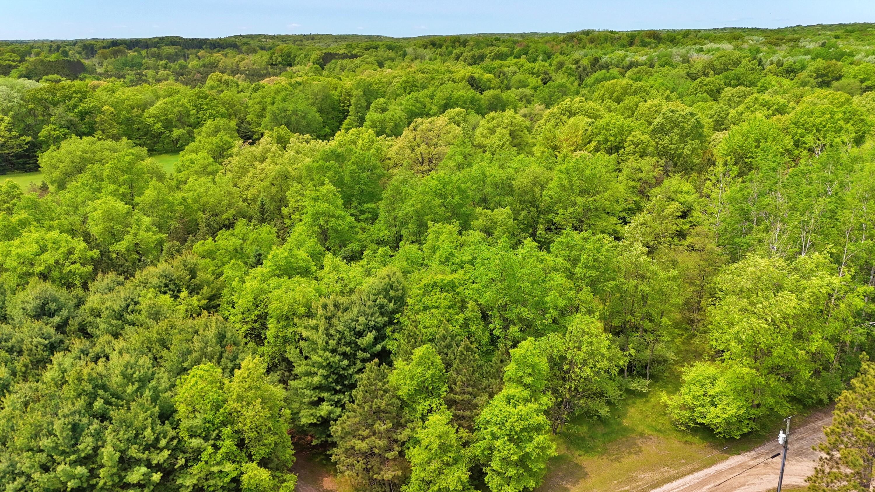 80+/- Acres V/L 140th Ave