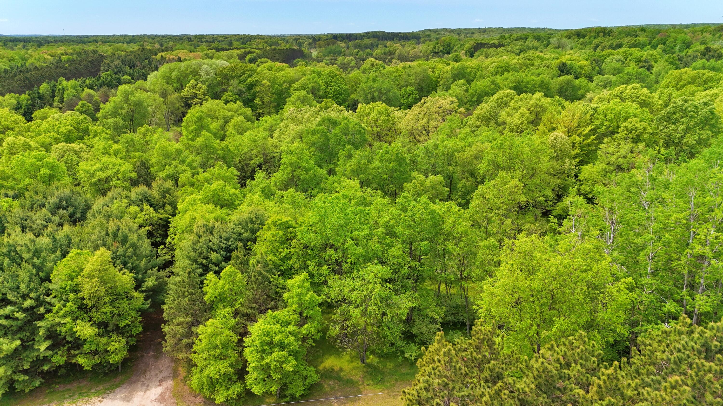 80+/- Acres V/L 140th Ave