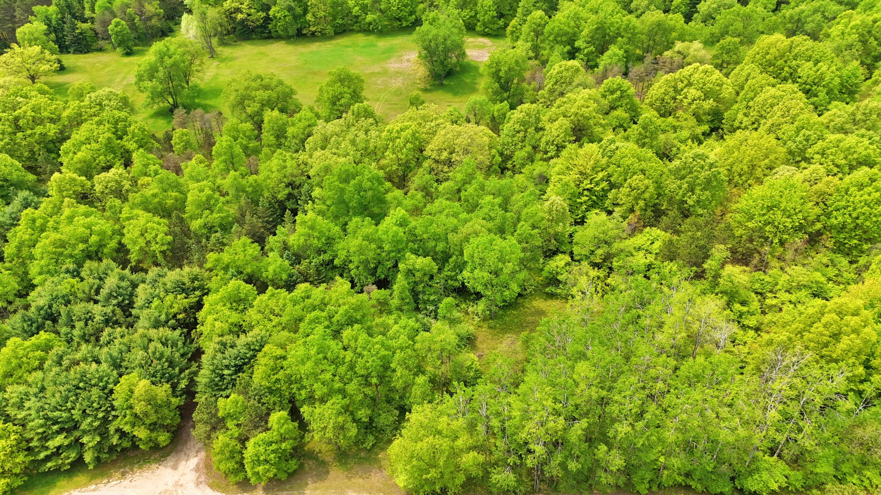 80+/- Acres V/L 140th Ave