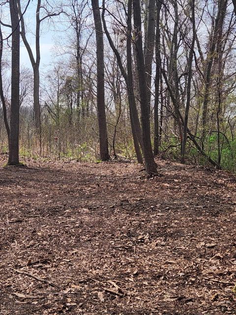 Photo of 17708 Thunder Road #Lot 10, New Buffalo, MI 49117 (MLS # 26016189)