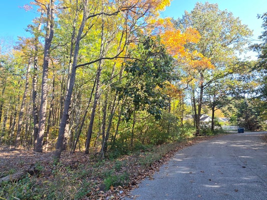 2831 CRESCENT ST, FENNVILLE, MI 49408 - Image a166d6b35e10ea279a1b3c089b0e3fc8/3103994492