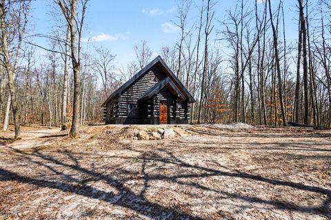 Photo of 10338 Alpine Drive, Reed City, MI 49677 (MLS # 26017460)