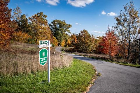 Photo of Eagel Ridge Circle #Lot 103, Onekama, MI 49675 (MLS # 25013457)