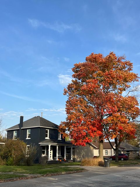 614 Magnolia Street Three Oaks MI 49128