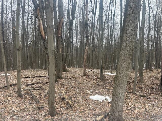 9735 Pere Marquette Drive