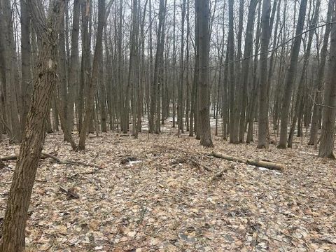 9735 Pere Marquette Drive Stanwood MI 49346