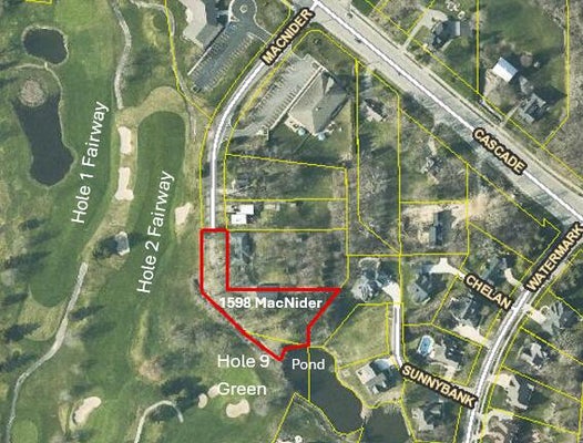 1598 MACNIDER RD SE, GRAND RAPIDS, MI 49546 - Image a3b47cd28db5b0815d42a1fb437dc9c6/54596854