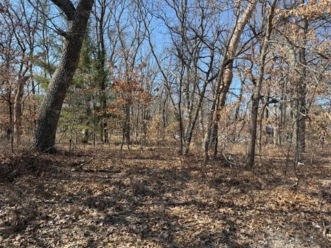 Photo for VL S Arrowhead Trail