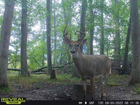 Photo of 9159 Moreland Road, Jerome, MI 49249 (MLS # 25028210)