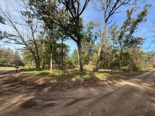 VL CHAMPLAIN STREET, BALDWIN, MI 49304 - Image a452e5b6c8e42424f456d2bfcc142bbd/3505869002