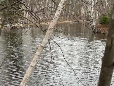 10910 Boxwood Drive Canadian Lakes MI 49346