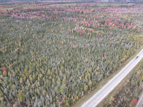 Photo for 0 US 131