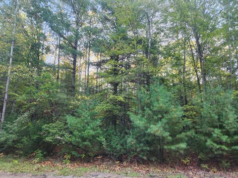 Photo of 6842 White Pine Drive, Stanwood, MI 49346 (MLS # 25051639)