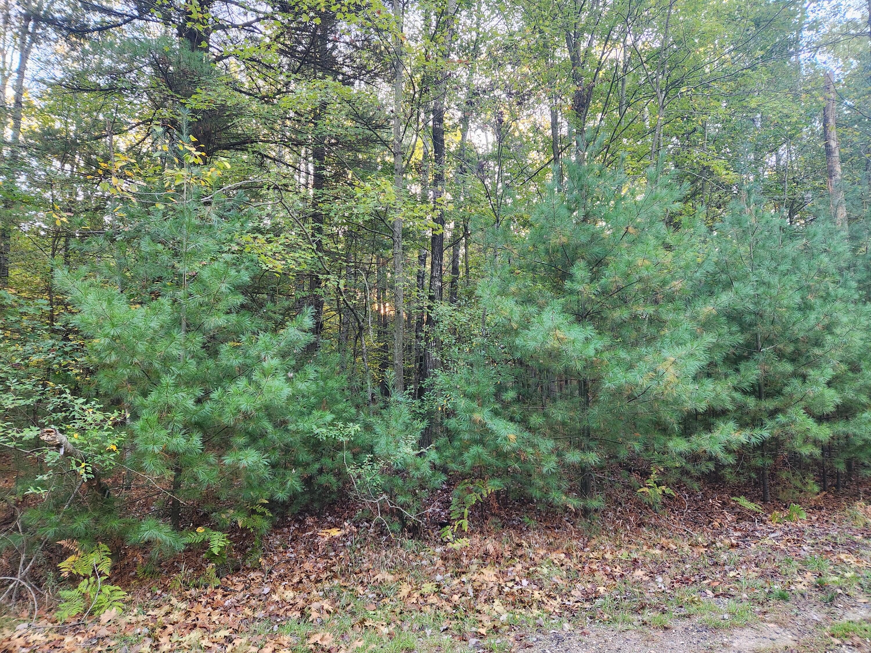 6842 White Pine Drive