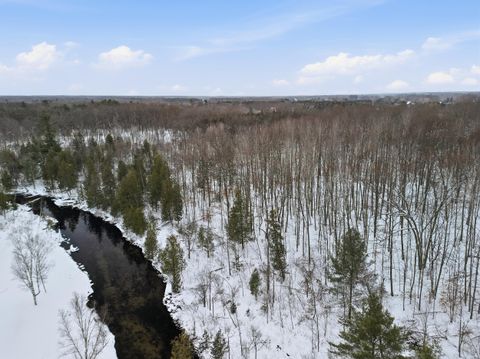 9010 Lake Drive Mecosta MI 49332