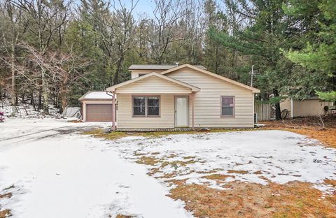 Photo of 2960 N Sahara Trail, Mears, MI 49436 (MLS # 26000996)