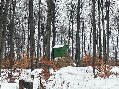 Photo of 20350 Lindy Road, Copemish, MI 49625 (MLS # 26001849)