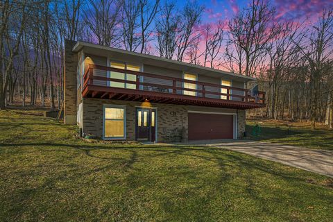 6608 Bluewater Highway, Saranac, MI 48881 - MLS#: 25011921