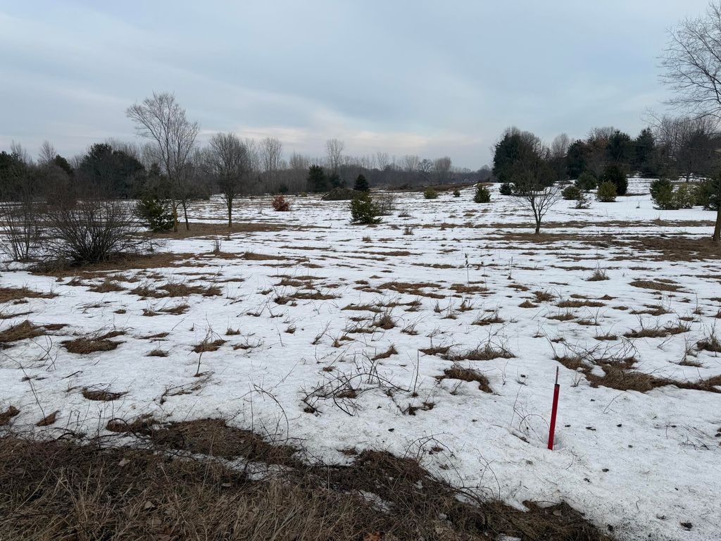 Photo of 15680 Tyrone Avenue, Kent City, MI 49330 (MLS # 26005955)