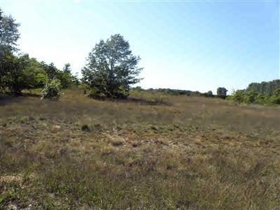 Photo of 14 Trim Lake View Estates, New Era, MI 49446 (MLS # 10007940)