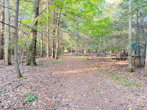 Photo of 8367 W Stony Lake Road, New Era, MI 49446 (MLS # 25052688) Photo of 8367 W Stony Lake Road, New Era, MI 49446 (MLS # 25052688)