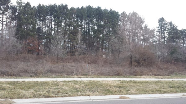 2450 ULRICH LN LOT 82, STEVENSVILLE, MI 49127 - Image aa46dc26af55b6dd1b32ee3fbbc6f95f/4197669853