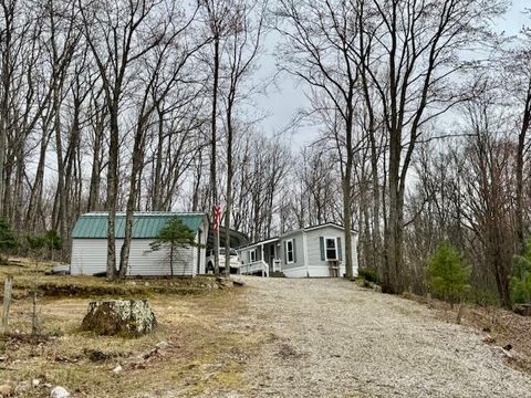 10370 Schwyz Drive, Reed City, MI 49677 - MLS#: 25017131