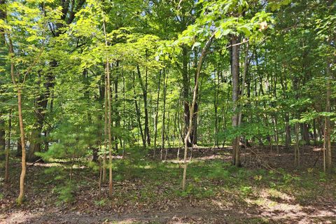 10933 Shawnee Trail Stanwood MI 49346