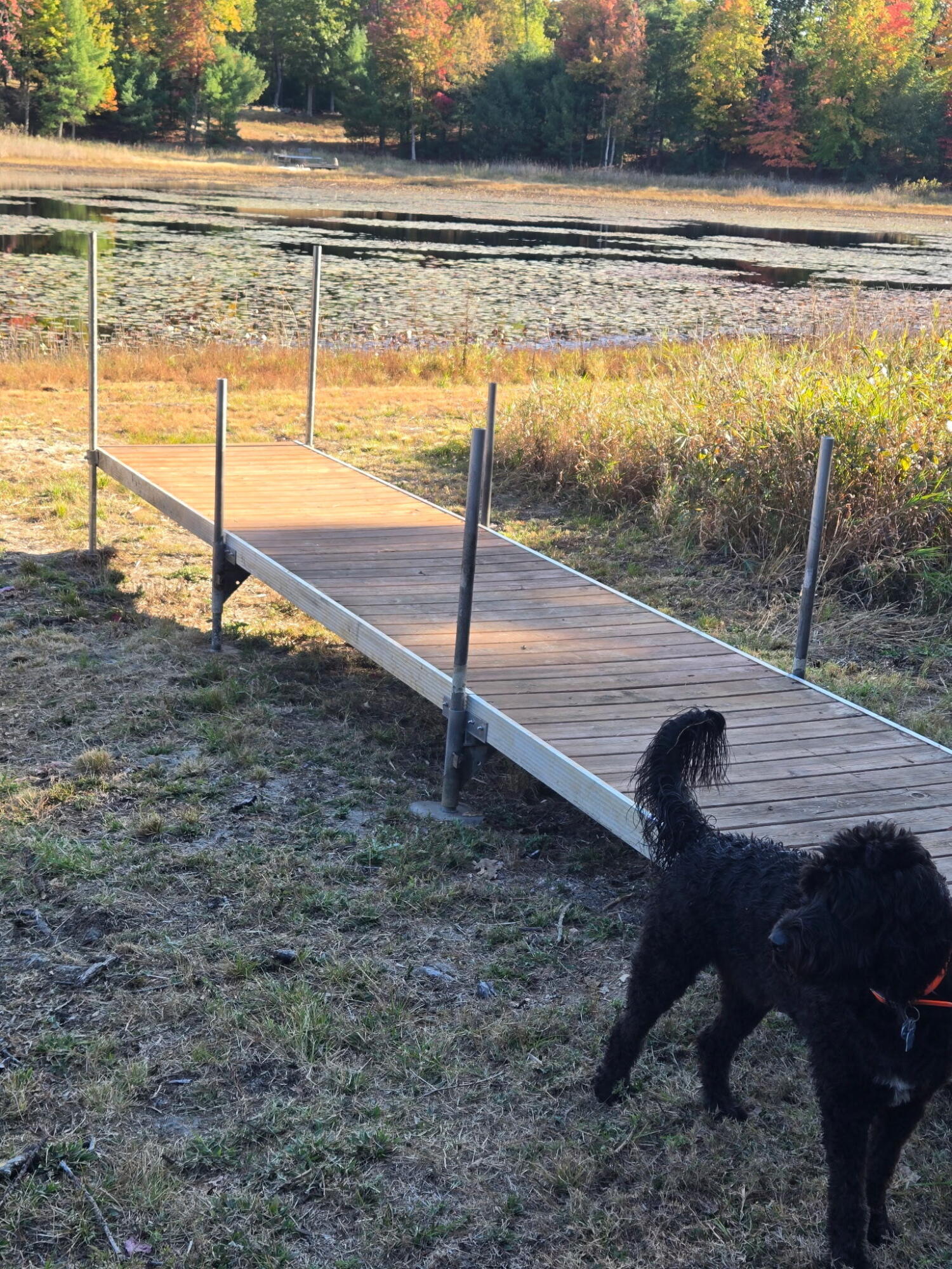 1089 Greensview Drive