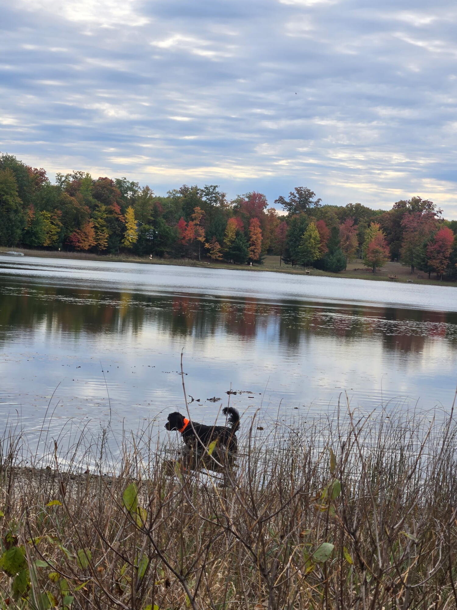 1089 Greensview Drive