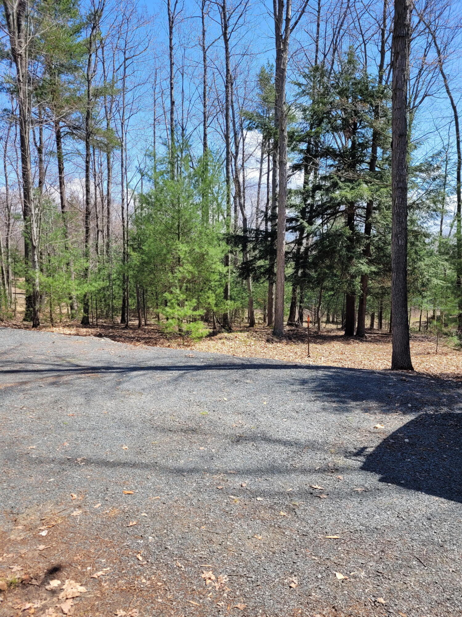 1089 Greensview Drive