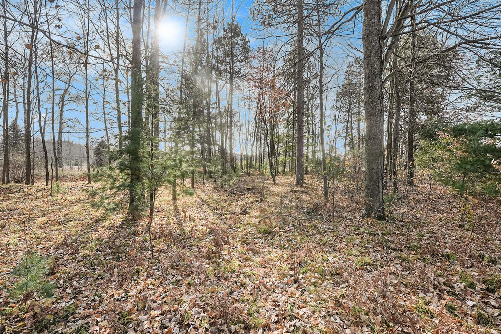 Photo of 12215 Lila Court, Stanwood, MI 49346 (MLS # 25056506)