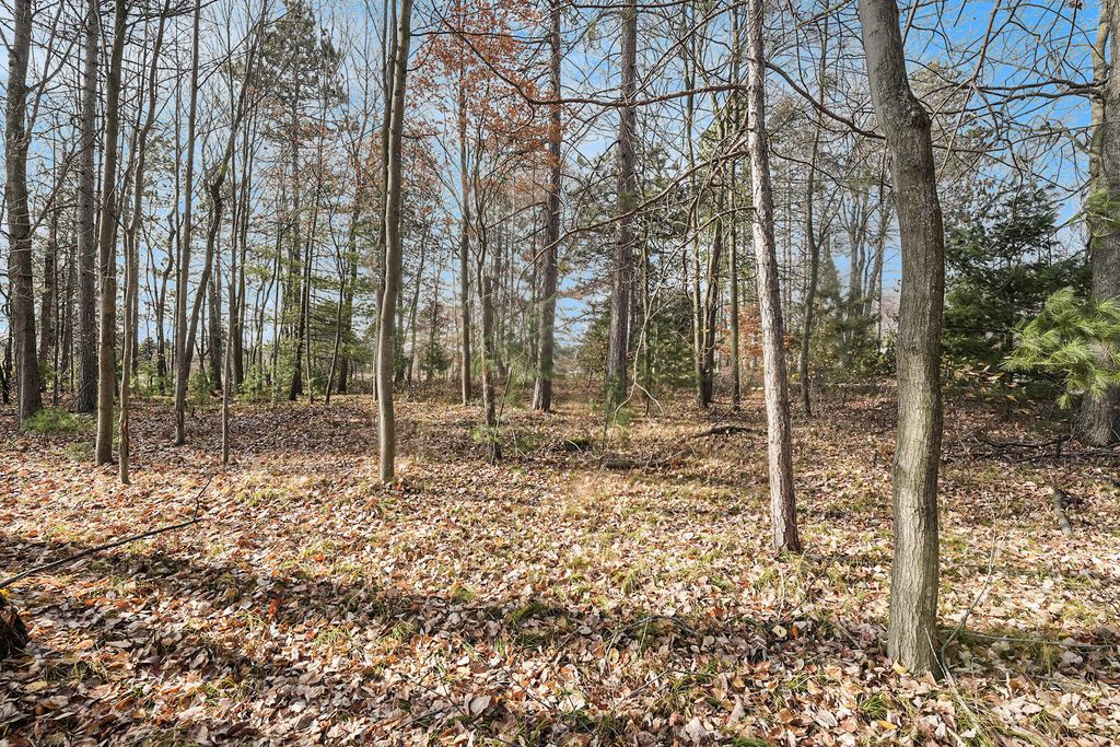 Photo of 12215 Lila Court, Stanwood, MI 49346 (MLS # 25056506)