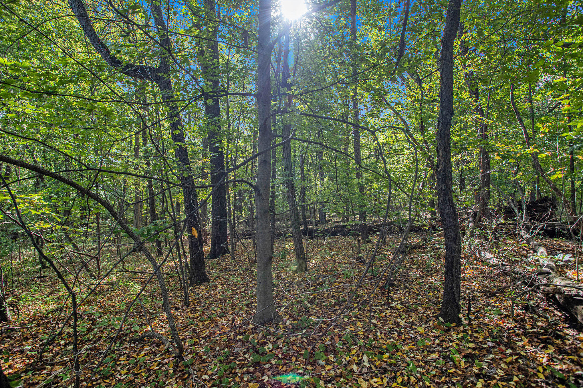 Richland, Michigan 49083, United States, ,Land,Active,225152