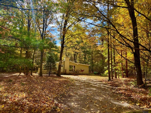 Photo of 14139 Cinder Road, Beulah, MI 49617 (MLS # 26055069)