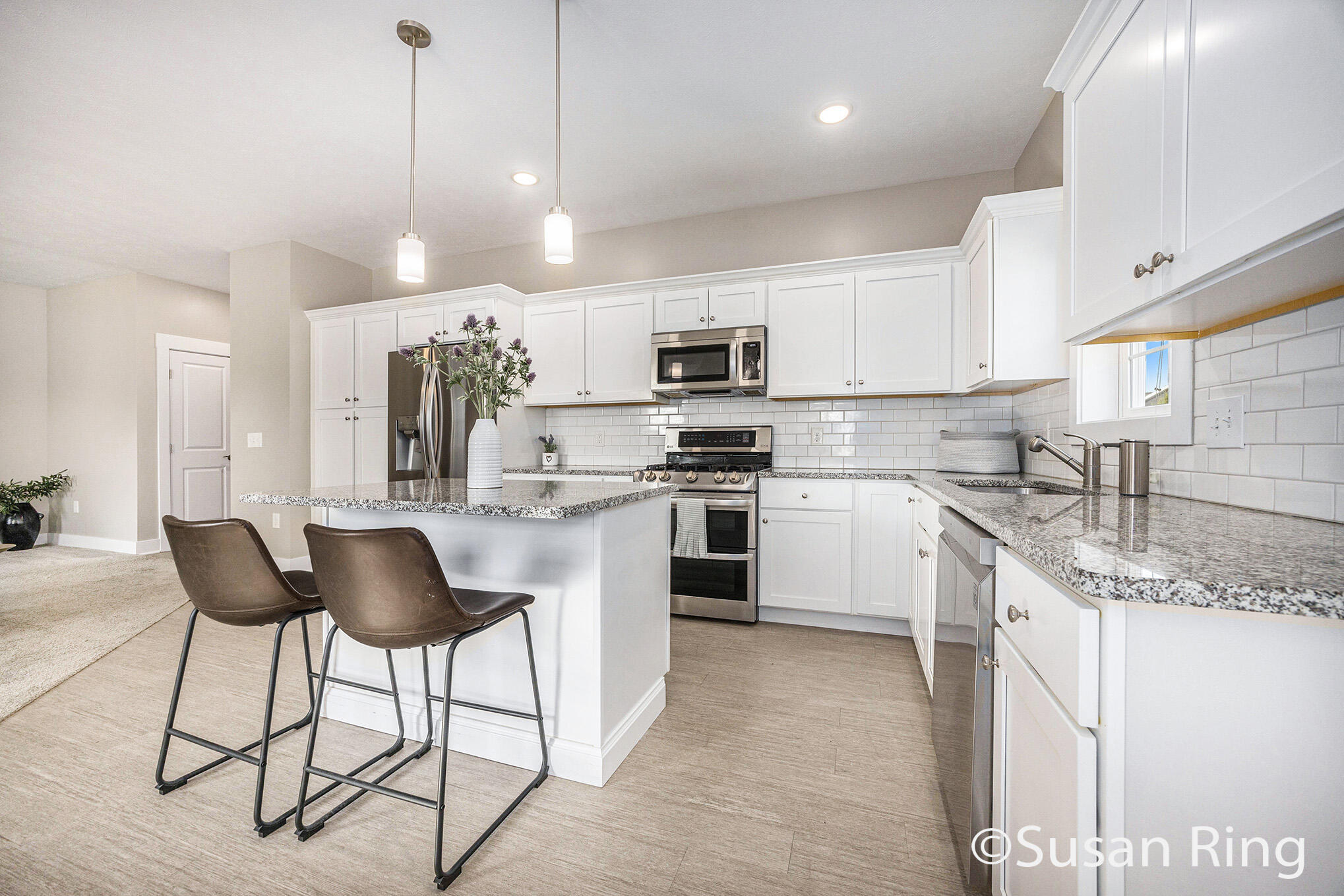 Caledonia, Michigan 49316, United States, 2 Bedrooms Bedrooms, ,2 BathroomsBathrooms,Residential,Active,225278