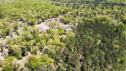 Photo of Red Apple Road, Manistee, MI 49660 (MLS # 24020758)
