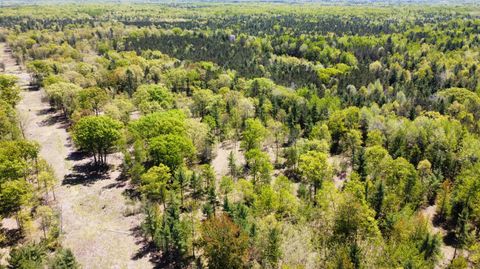 Photo of Red Apple Road, Manistee, MI 49660 (MLS # 24020758)