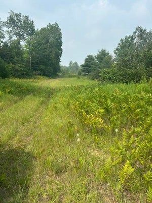 S 220TH AVE, REED CITY, MI 49677 - Image ad39bca8bf8e9480b2a5f1f043bf2ac3/3560441124