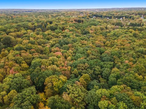 Photo of 5709 Alaska Avenue SE, Alto, MI 49302 (MLS # 25053592)